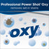 BISSELL Professional Power Shot Oxy Carpet Spot and Stain Remover, 14 ounces, 95C9