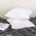 Utopia Bedding Throw Pillows Insert (Pack of 2, White) - 20 x 20 Inches Bed and Couch Pillows - Indoor Decorative Pillows