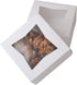 6" x 6" x 3" White Bakery Box | Auto-Popup | Small Pie Boxes with Window | 20 Pack