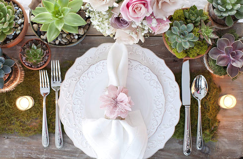 Succulent Plants (5 Pack) Assorted Potted Succulents Plants Live House Plants in Cacti and Succulent Soil Mix, Planter Pots Decor, Cactus Plants Live Indoor Plants Live Houseplants by Plants for Pets