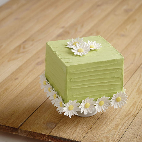 Wilton Student Decorating Kit Course 3