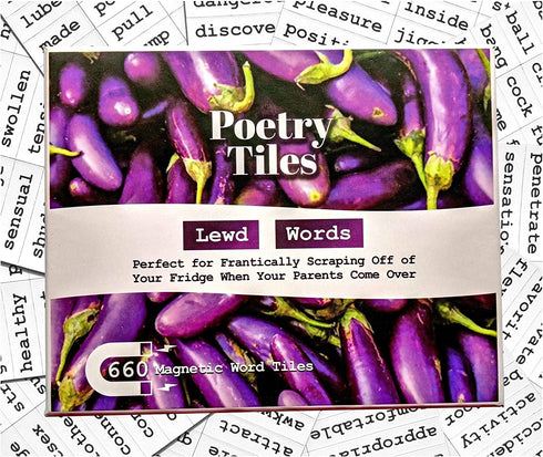 Poetry Tiles - 536 Dirty Words Word Magnets - Smut Adult Themed Kit for Refrigerator Poems and Stories