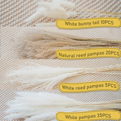 70 Pcs | 35 Pcs White Pampas & 10 Pcs White Bunny Tail & 20 Pcs Reed Grass 5 Pcs White Reed/Natural Dried Pampas Grass for Flower Arrangements Home Decor