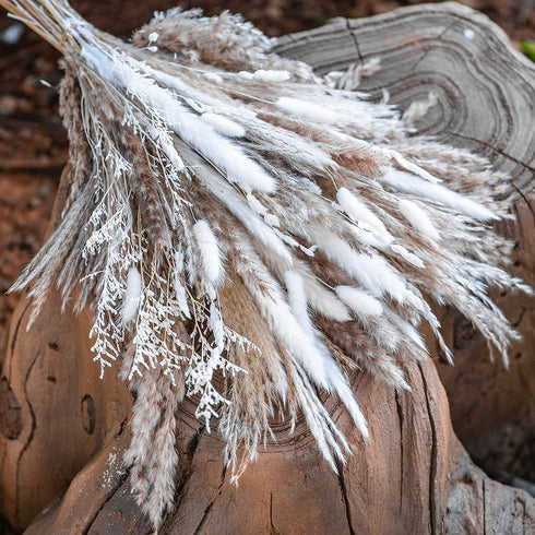 WILD AUTUMN 80PCS Natural Dried Pampas Grass Bouquet,Boho Home Decor Bouquet, Phragmites Dried Flowers,Bouquet for Wedding Floral Arrangements Home Decorations