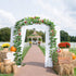 Anoak 24 Pack 180 Feet Artificial Ivy Garland Plant Garland Fake Ivy Leaves Hanging for Home Kitchen Garden Office Party Wedding Wall Decoration