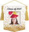 Hallmark Keepsake Christmas Ornament 2021 Year-Dated, Congrats, Grad! Class of 2021 Photo Frame, Porcelain