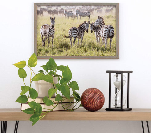 Gallery Solutions Wall Frames, 11" x 17", Gray