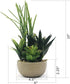 Allgala Small Desktop Artificial Combination Succulent Plant Group with Natural Clay Pot