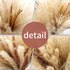 Pampas Grass Dried Pampas for Home Kitchen Decor, 17inch Natural Dried Pampas Grasss Decor Small Fluffy Pampas Bouquet Reed Grass Plant Boho Room Decor for Flower Arrangement (65Pcs)