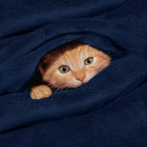 Utopia Bedding Fleece Blanket Queen Size Navy 300GSM Luxury Bed Blanket Anti-Static Fuzzy Soft Blanket Microfiber