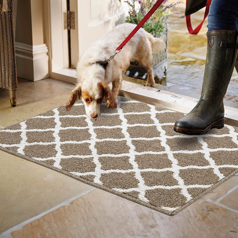 SHACOS Doormat 24"x36" Indoor Entrance Entryway Door Mat Non Slip Washable Front Door Rug Dirt Trapper Mat Entrance Rugs and Mats for Entry Mud Room Garage, Brown