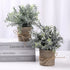Artificial Topiaries Plants & Flowers, 4 Pcs Mini Plants Artificial Potted Set Fake Green Grass Plant Faux Plastic Topiary for Home Office Desk Bathroom Kitchen Counter Decoration (Nature)