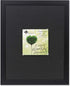 Lawrence Frames Shadow Box Frame, 11x14