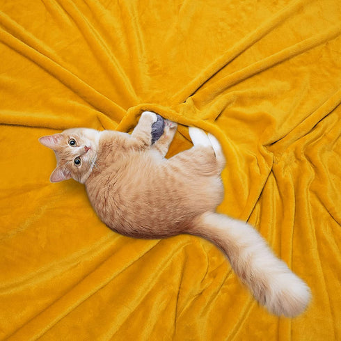 BT.WA Throw Blanket with Pompom Fringe Soft Cozy Flannel Blanket for Couch Sofa Bed Camping Travel Home Decor (Yellow, 51"x63")