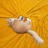 BT.WA Throw Blanket with Pompom Fringe Soft Cozy Flannel Blanket for Couch Sofa Bed Camping Travel Home Decor (Yellow, 51"x63")