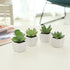 MyGift Mini Assorted Artificial Succulent Fake Indoor House Plants in Square White Ceramic Pots, Set of 4