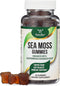 Sea Moss Gummies for Adults Max Strength 3,000mg (60 Irish Sea Moss Gel Gummies Enhanced with Bladderwrack and Burdock Root) Superfood Gummies for Immune Support by Double Wood Supplements