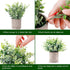 CEWOR 4 Packs Artificial Mini Potted Plants Fake Grey Greenery Eucalyptus Rosemary Boxwood Plastic Centerpiece for Bathroom Shelf Home Office Desk Table Indoor Decor