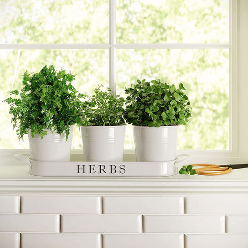Barnyard Designs Herb Pot Planter Set with Tray for Indoor Garden or Outdoor Use, White Metal Succulent Potted Planters for Kitchen Windowsill, (Set of 3, 4.25? x 4? Planters on 12.5? x 4" Tray)