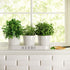 Barnyard Designs Herb Pot Planter Set with Tray for Indoor Garden or Outdoor Use, White Metal Succulent Potted Planters for Kitchen Windowsill, (Set of 3, 4.25? x 4? Planters on 12.5? x 4" Tray)