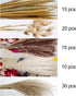 90 Pcs 17" Set | Natural Dried Pampas Grass, Natural Pampas Dried Flowers, Natural Rabbit Tail Grass, Perfect for Home Decor, Boho Decor and Wedding Flower Arrangements