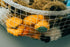 Stuffed Animal Toy Hammock - Best for Keeping Rooms Clean, Organized and Orderly - Comes with an E-Book, Toy Organizer Storage Net is Durable and Easy to Install(Two Pack)