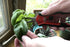 Corona FS 4120 Hydroponic Micro Snip Scissors for Gardening, Landscaping Herbs, Flowers and seedlings, 6-Inch, Red
