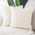 MADIZZ Set of 2 Soft Plush Short Wool Velvet Decorative Throw Pillow Covers 20x20 inch Beige Square Luxury Style Cushion Case Pillow Shell for Sofa Bedroom
