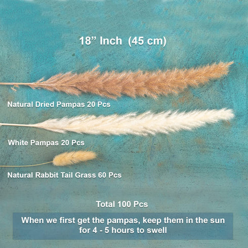 GREAT PEAK 100 Pcs Pampas Grass, 20 Pcs Natural Dried Pampas, 20Pcs White Pampas, 60Pcs Rabbit Tail Grass for Home and Boho Decor, Wedding Flower Arrangement, Fluffy Pampas Tall Grass Bouquet