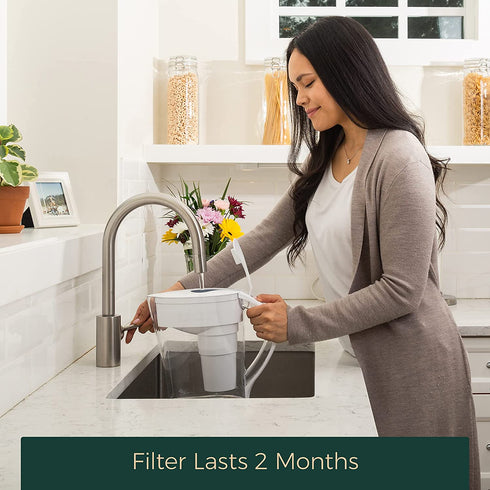 Single Replacement MINA Alkaline Water Filter by Santevia | Single at Home Water Pitcher Filter Adds Minerals and Makes Alkaline Water | Chlorine and Lead Water Filter | Made in North America
