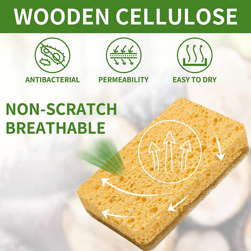 12 Pack Kitchen Dish Sponges, Natural Plant Palm Fiber Scrub Sponge with Non Scratch Biodegradable Compostable Sponges, Durable No Smell Household Cleaning Sponges