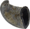 QT Dog Water Buffalo Horn Treat (1 Each), Small
