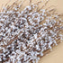 Starryle 10Pcs 29.5'' Long Artificial Jasmine Flowers Fake Flowers for Decoration Faux Winter Jasmines Branches for Home Living Room Kitchen Office Hotel Wedding DIY Decor (White)