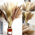 Natural Dried Pampas Grass Boho Home Decor, 65Pcs 17Inch Dried Flower Bouquet Decorative Pampas Grass for Vase Filler, Flower Arrangements, Wedding Office Decor Fluffy and Soft
