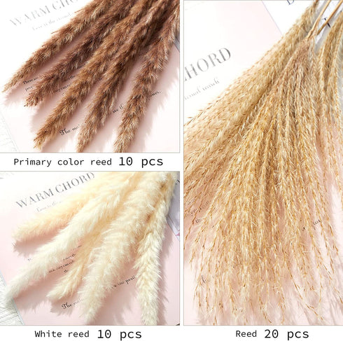 Nuzyz Natural Dried Pampas Grass Plumes 70pcs 17.5 Inch Rabbit Tail Millet Mixing Bulrush Fluffy Living Room Vase Arrangement Boho Bouquet Home Decor