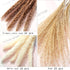 Nuzyz Natural Dried Pampas Grass Plumes 70pcs 17.5 Inch Rabbit Tail Millet Mixing Bulrush Fluffy Living Room Vase Arrangement Boho Bouquet Home Decor