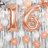 Decorlife 155PCS Sweet 16 Birthday Decorations for Girls, Rose Gold Sweet 16 Birthday Party Supplies Serves 16, Complete Pack Includes Tableware, 40Inch Balloons, Fringe Curtains, Banner