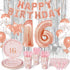 Decorlife 155PCS Sweet 16 Birthday Decorations for Girls, Rose Gold Sweet 16 Birthday Party Supplies Serves 16, Complete Pack Includes Tableware, 40Inch Balloons, Fringe Curtains, Banner
