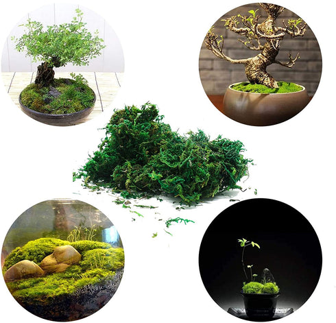 Timoo Fake Moss for Plants, Artificial Green Moss for Flower Plant Garden Lawn Crafts Wedding Decoration