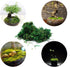 Timoo Fake Moss for Plants, Artificial Green Moss for Flower Plant Garden Lawn Crafts Wedding Decoration