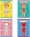 Human Body Educational Learning Posters Body Parts Learning Wall Chart for Kids Cartoon Anatomy Chart Educational Poster Preschool Kindergarten Teaching Supplies, Classroom Decoration, 17 x 11 Inch
