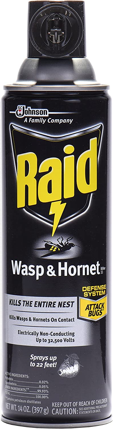 Raid Wasp Hornet Killer Spray (14 Ounce (Pack of 1)