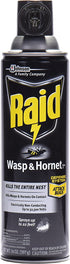 Raid Wasp Hornet Killer Spray (14 Ounce (Pack of 1)