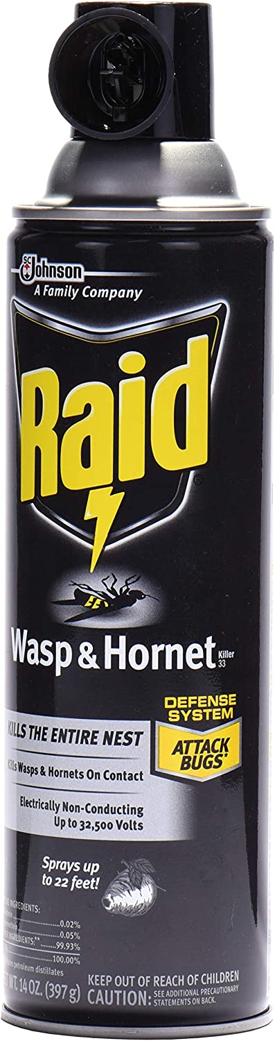 Raid Wasp Hornet Killer Spray (14 Ounce (Pack of 1)