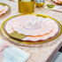 PINK PLASTIC PLATES | Disposable Dinner Plates | Veil | 11.25 | 10 PC