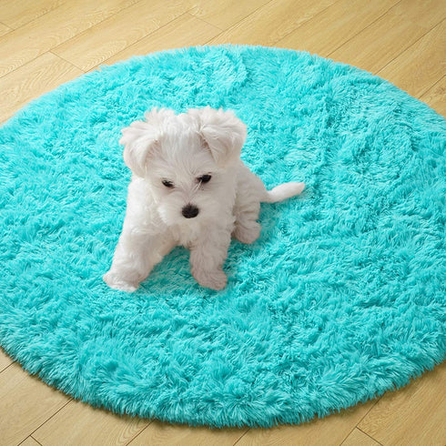 Goideal Round Fluffy Area Rug for Bedroom, Teal Blue Shaggy Rug for Boys Girls, Fuzzy Cute Princess Castle Nursery Room Rug, Circle Plush Floor Carpet for Babies Room Decor 4ft (4' Diameter)