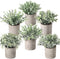 Der Rose 6pcs Small Fake Plants Artificial Potted Plants for Home Office Farmhouse Bathroom Bedroom Decor
