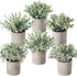 Der Rose 6pcs Small Fake Plants Artificial Potted Plants for Home Office Farmhouse Bathroom Bedroom Decor