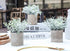 Der Rose 6pcs Small Fake Plants Artificial Potted Plants for Home Office Farmhouse Bathroom Bedroom Decor