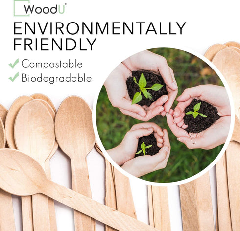 WoodU Disposable Wooden Spoons Natural Birch Wood Biodegradable and Compostable Utensils Cutlery for Party and Dinner- Smooth and round surface (Spoon 200 Pack)